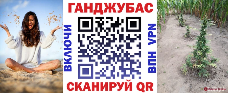 mega вход  Бавлы  Канабис сатива 